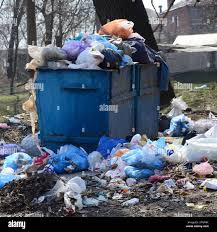 Best Yard Waste Removal  in Pocasset, MA